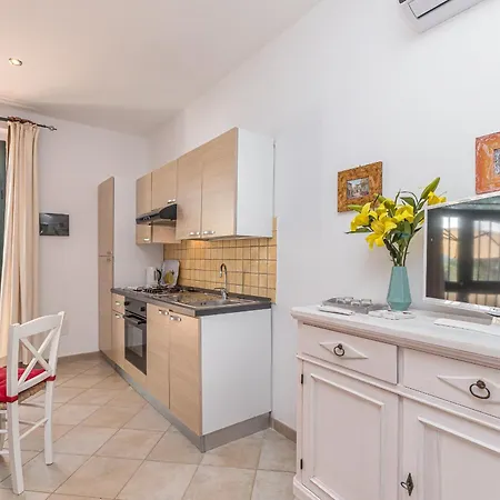 Domos Pintadas -happy