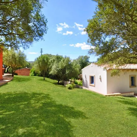 Domos Pintadas -happy *